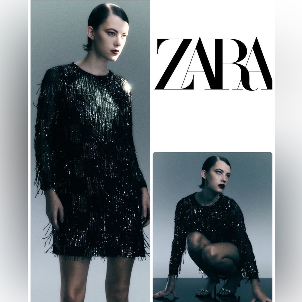 NWT Zara Sequin Fringed Mini Dress - Picture 2 of 9